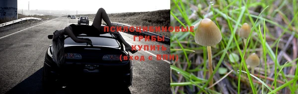 скорость mdpv Алзамай
