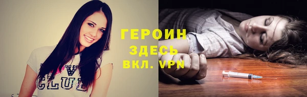 гидра Няндома