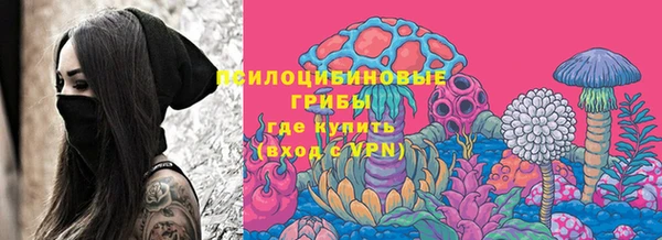 ГАЛЛЮЦИНОГЕННЫЕ ГРИБЫ Нязепетровск