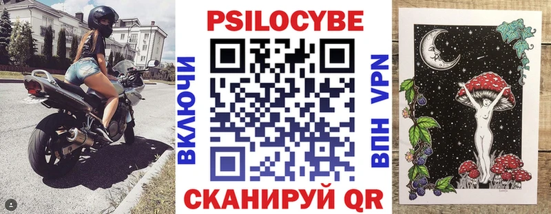 дарнет шоп Первоуральск кракен ссылки Псилоцибиновые грибы Cubensis
